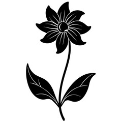 black and white flower