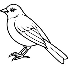 Elegant Line Art Bluebird Illustration Isolated on White