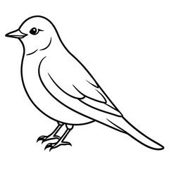 Simple Bluebird Line Art Illustration Isolated White Background