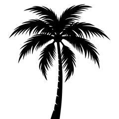 silhouette of palm tree