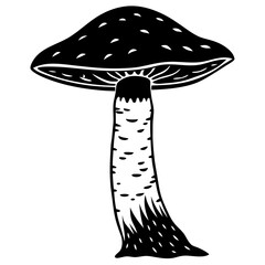 vector illustration of mushroom