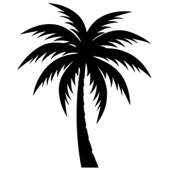 silhouette of palm tree