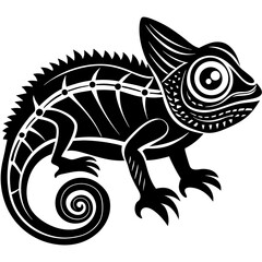 chameleon on a white background