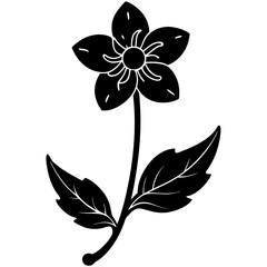 black and white flower
