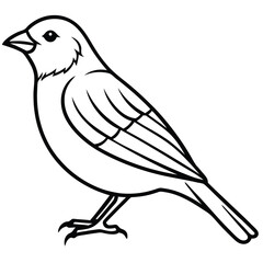 Simple Line Art Canary Illustration Isolated White Background