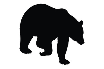 Fototapeta premium Shadow Stroll of a Grizzly: A striking, high-contrast silhouette captures a powerful grizzly bear in mid-stride. The image showcases the animal's strength and the raw essence of nature. 