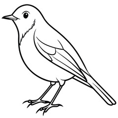 European Robin Line Art Bird Illustration for Backgrounds