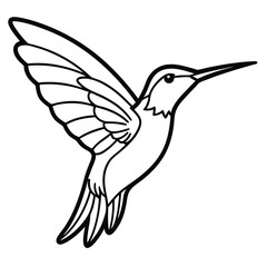Elegant Hummingbird Line Art Illustration Isolated White Background