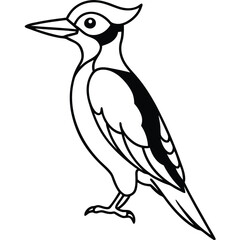 Line Art Woodpecker Illustration Isolated White Background