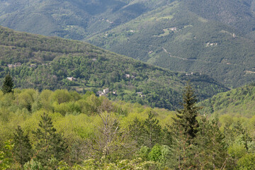landscape in the mountains