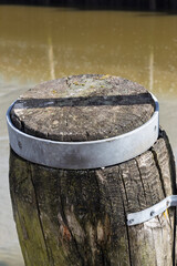 A stump for tying up boats at low tide of the North Sea in green mud with a metal rim against a...