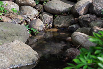 
A small stream looking like a waterfall amidst rocks and Asian-style grasses