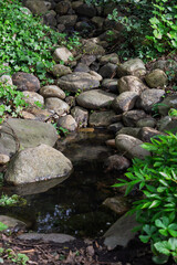 
A small stream looking like a waterfall amidst rocks and Asian-style grasses