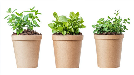 Fototapeta premium eco-friendly, compost potted plants, 3d illustration. isolated on white background.