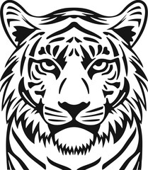 Tiger Face Close Up Portrait