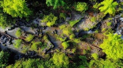 green moss on the stone