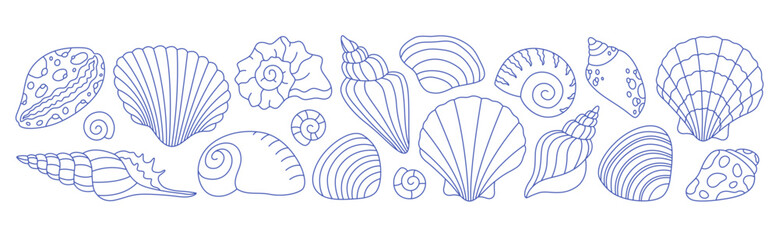 Doodle outline collection of sea shells, mollusks, sea ​​snails. Tropical beach shells. Vector illustration in modern minimal style