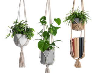 Three hanging planters, a simple yet elegant way to bring greenery indoors three