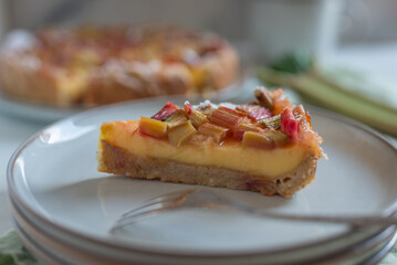 sweet home made rhubarb custard pie