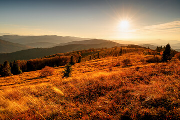 Wild Trails in the Polish mountains in autumn at sunset. Stumorgowa, Beskids, Poland.