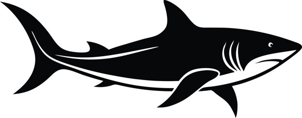 shark vector