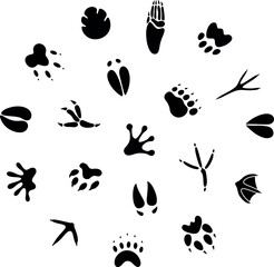 Paw print silhouette. Isolated paw print on white background