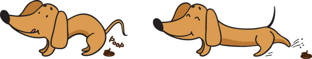 Funny Dachshund doing poop and digging it . Vector flat cartoon  illustration