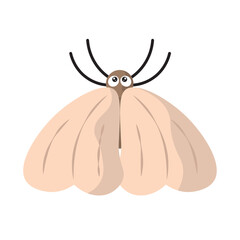 Cream cartoon moth insect. Vector