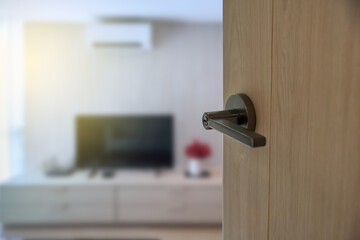 door with handle and lock