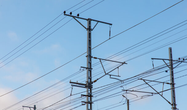 A power line pole with a bird on it