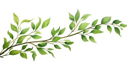 Fototapeta premium Green Tree Branch Frame on White Background for Professional Designs