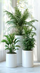 Fototapeta premium Tropical plants arranged in modern pots enhance the vibrant atmosphere of a blue and yellow backdrop, perfect for contemporary decor