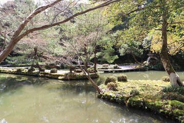 Japanese garden in spring - Hisago-ike Pond