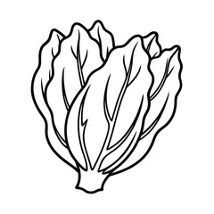 vector illustration of a chicory