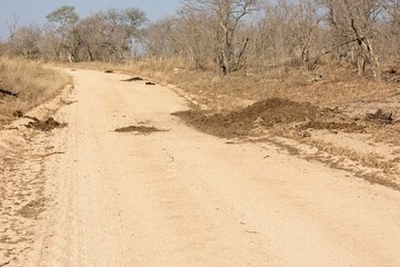 Rhino communal dung toilet