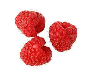Three fresh raspberries floating on transparent background