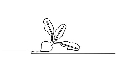 Continuous one line drawing of beetroot vegetable. Beetroot single line art vector illustration. Editable vector, Simple beetroot design in continuous line art drawing style. Grow beet plant minimal.