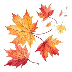 Autumn leaves isolated on white