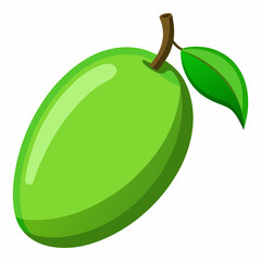 Vector illustration of a green mango