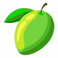 Vector illustration of a green mango