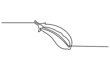 Peas drawing with abstract color spot. Veggie line art style minimalist silhouette. Continuous vegetable concept design. Hand drawn one line flat vector illustration isolated on white