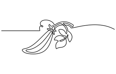 Peas drawing with abstract color spot. Veggie line art style minimalist silhouette. Continuous vegetable concept design. Hand drawn one line flat vector illustration isolated on white