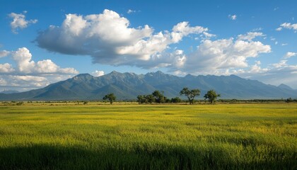Fototapeta premium Sunny valley with mountains
