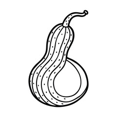 vector illustration of a snake gourd
