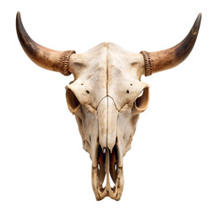 Longhorn Skull:  A Dramatic Western Image