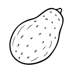vector illustration of a sweet potato