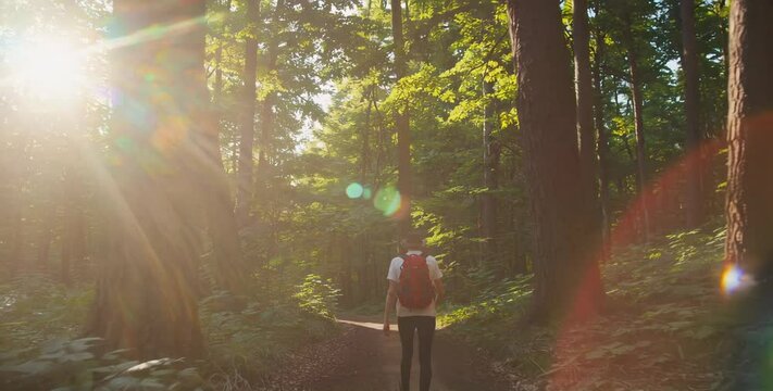 Man hiking through a lush green forest path during sunny summer day, surrounded by tall trees and dense vegetation, cinematic nature scene
