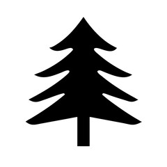 slender pine silhouette on transparent background for web and graphic design