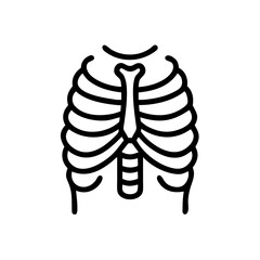 ribs