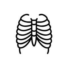 ribs